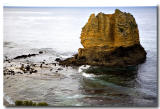 Aireys Inlet_9704.jpg