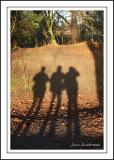 Me and my shadows