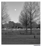 2/11 - Moon over Restland
