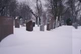 Cementerio de Montreal II