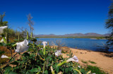 Roosevelt Lake