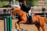 Scottsdale Hunter Jumper Show