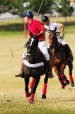 North Scottsdale Polo Club