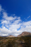 Tucson Mountains