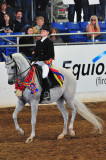 Scottsdale Arabian Horse Show