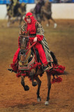 Scottsdale Arabian Horse Show