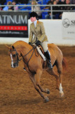 Scottsdale Arabian Horse Show