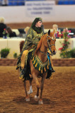 Scottsdale Arabian Horse Show