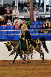 Scottsdale Arabian Horse Show