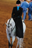 Scottsdale Arabian Horse Show