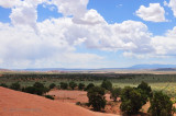 Utah Safari