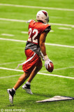 Arizona Cardinals