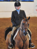 2008 Scottsdale Arabian Horse Show