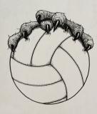 Logo for the Beasties (rec. volleyball team)