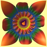 Mandel flower 11_14.jpg