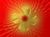 Mandelbrot flower