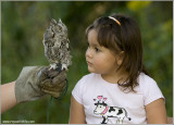 Maria and the Screech Owl