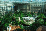 GayLord Palms Hotel