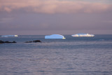 Sunrise at Gold Harbour