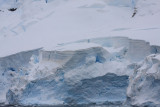 Annular lines in the snow