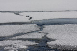 Sea ice