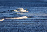 Surfers at Yalingup Beach