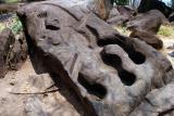 Crocodile rock carving