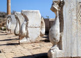 Marble dolphins, The Market