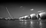 _MG_0467 thames path-bw.jpg