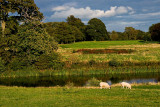 _MG_2837 kedleston.jpg