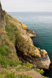 _MG_6416 skomer.jpg