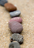 _MG_6536 tenby.jpg