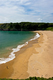 _MG_6708 barafundle bay.jpg