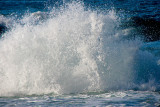 _MG_8613 portreath.jpg