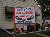 Flint Michigan Coyote watch group