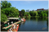 Boston Public Garden