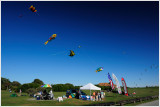 Kite flying at Brenton Point State Park