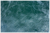 sandeels, what humpback whales eat