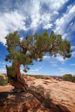 Dead Horse Point State Park, Moab, UT