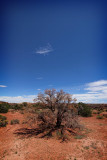 Canyonlands National Park, Moab, UT