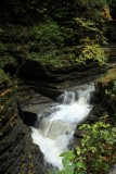 Watkins Glen State Park, Watkins Glen, New York