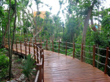 Walkway to Room Units, Occidental Grand Xcaret, Xcaret, Mexico