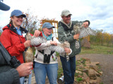 Adult Sharp-shinned Hawk (left), Adult Coopers Hawk (middle), and juvenile Northern Goshawk (right)