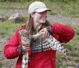 Brittnie with adult female Northern Harrier