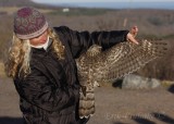 Debbie holding the juvenile Northern Goshawk