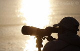 Scanning the lake