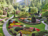 Breath taking landscape within Bouchard Gardens on Victoria Island.