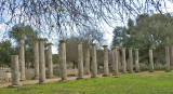Corinthian columns from the Palaestra at the Olympic village where athletes trained for the Games.