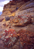 29 Boulder-Notom Road, Utah rocks 3