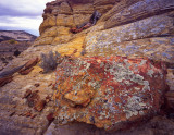 30 Boulder-Notom Road, Utah rocks 4